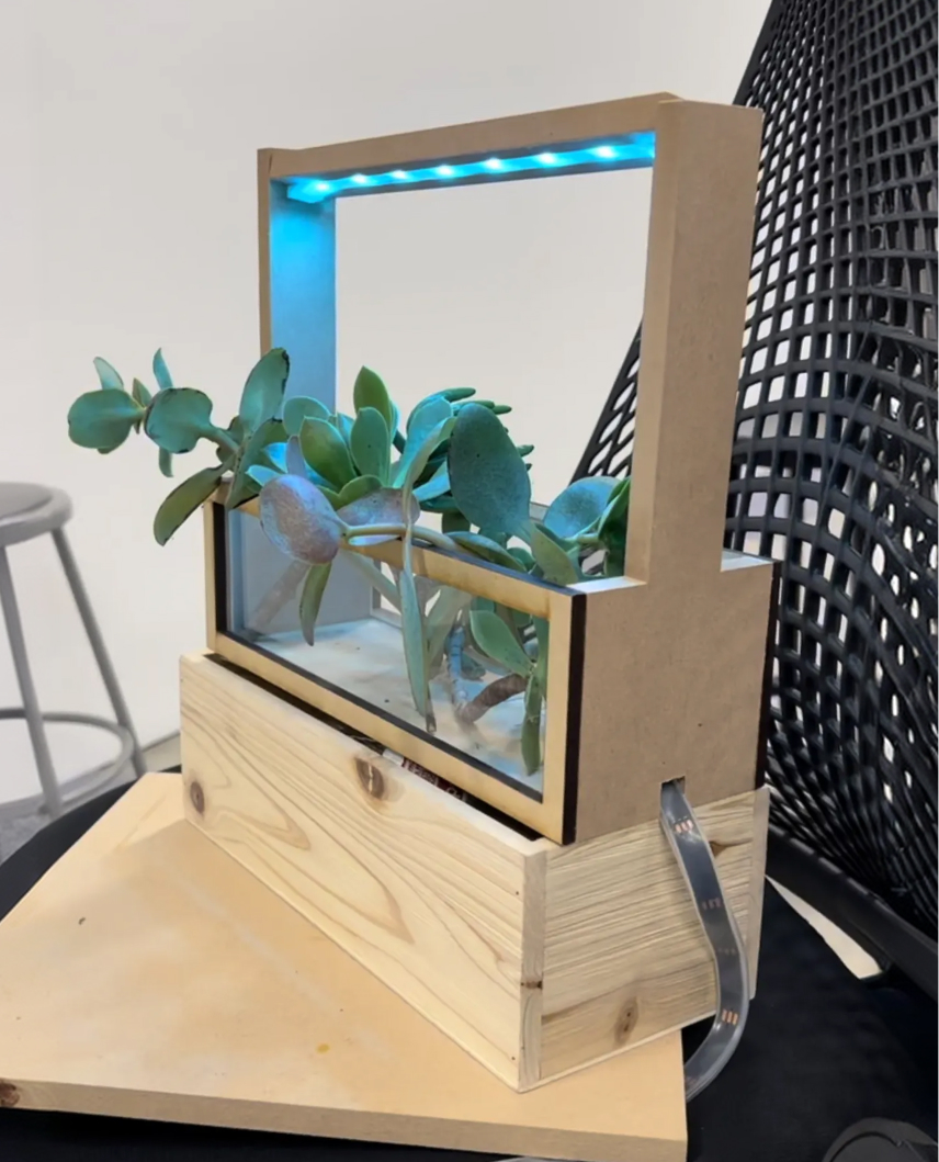 Planted prototype with cyan frame light