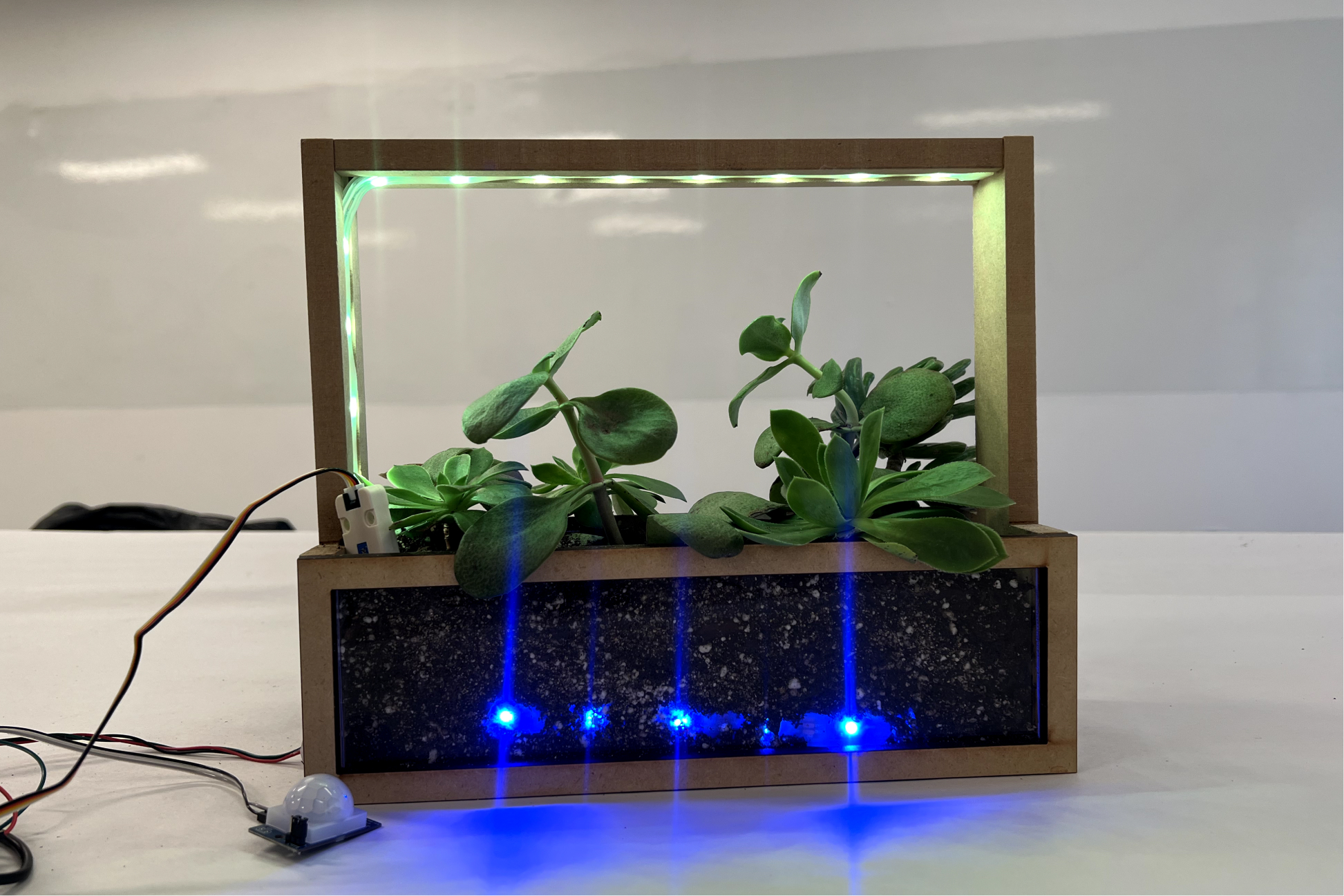 Frame lit green