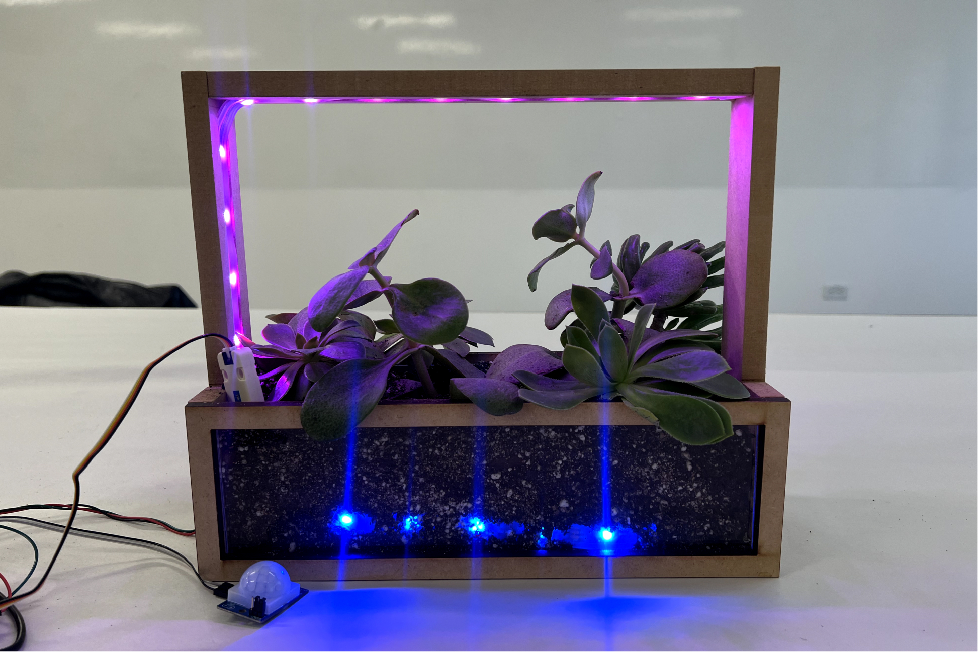 Frame lit purple