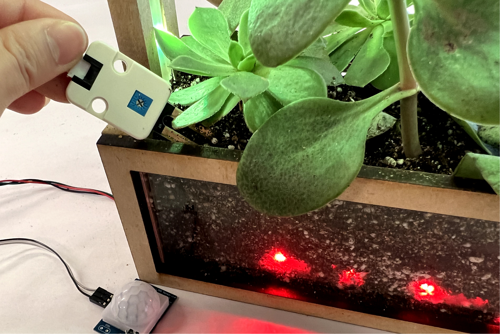Red soil LEDs indicating dry soil