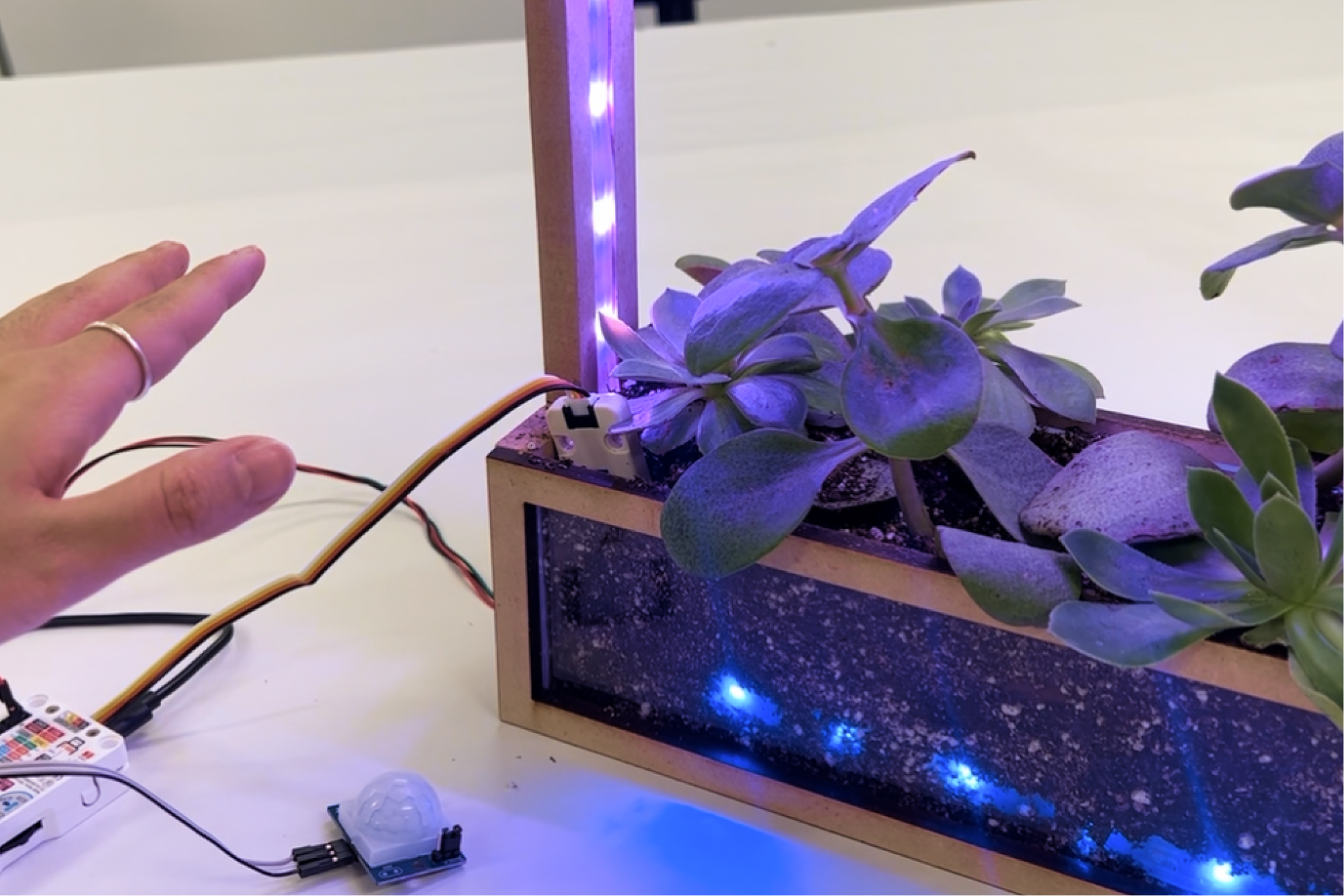 Hand near the planter, frame lit