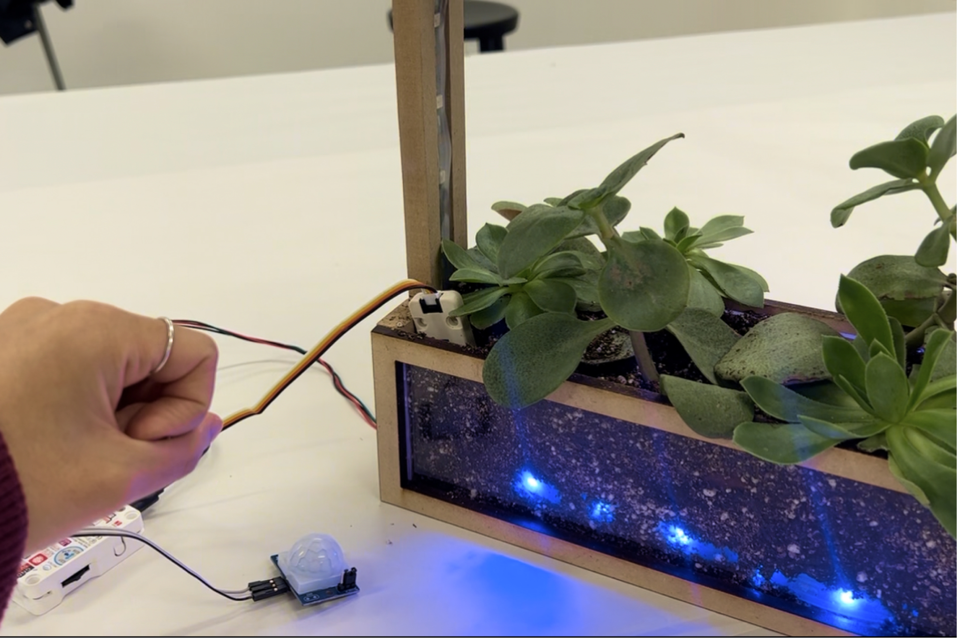 Hand near the planter, lights off